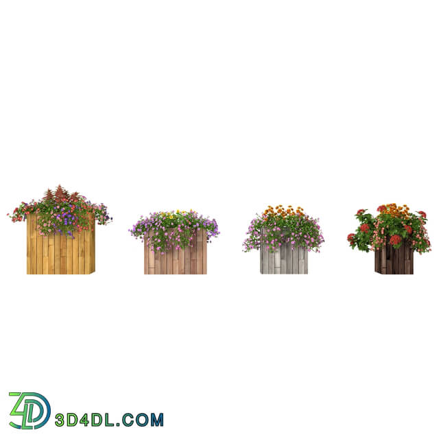 3dMentor HQFlowers3 petunia (03)