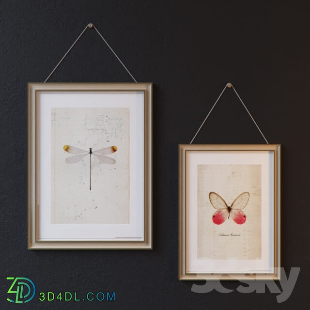 Other decorative objects - White Frames