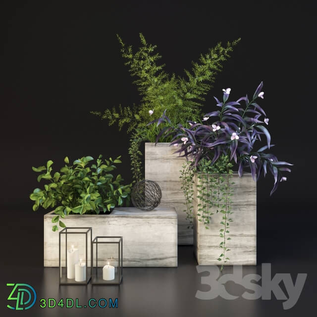 Plant - Decor set with plants