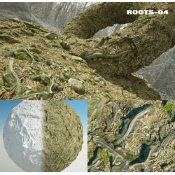 RD-textures Roots 04 