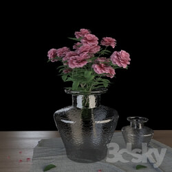 Plant - Roses Flower set with two vases 