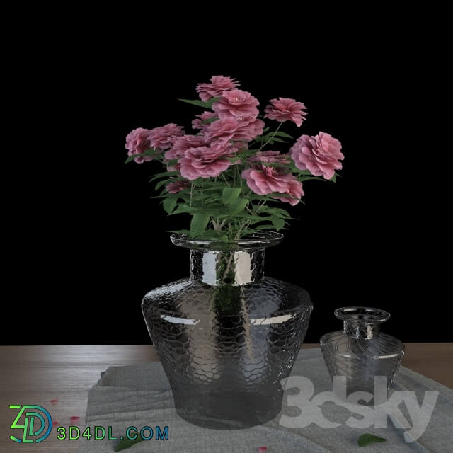 Plant - Roses Flower set with two vases