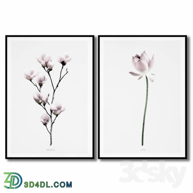 Frame - 2 posters with flowers - magnolia and lotus.