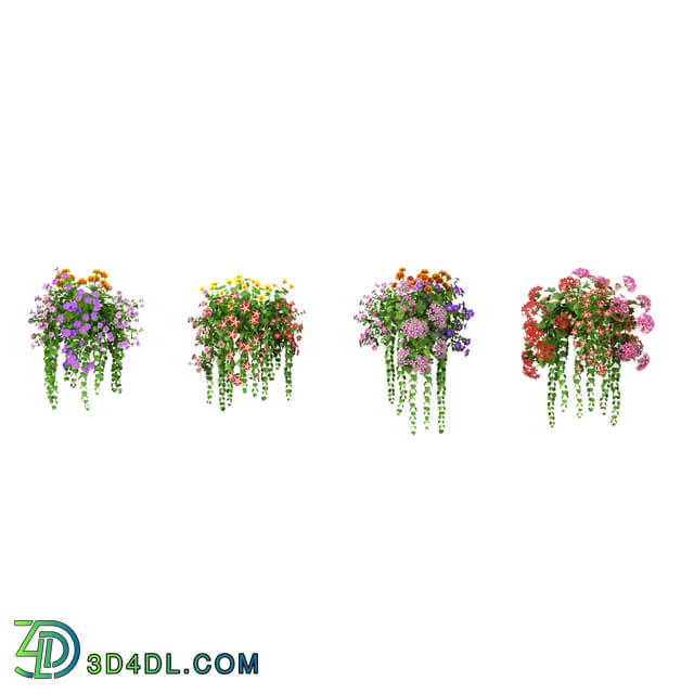 3dMentor HQFlowers3 petunia (04)