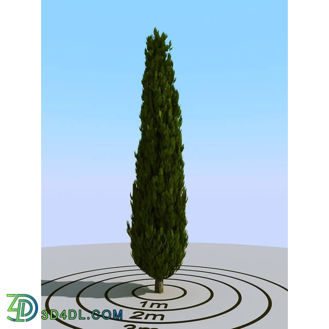 3dMentor HQPlants-02 (118) cypress 1