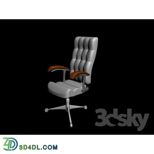 Chair - leather chair