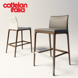 Chair - Cattelan Italia Arcadia 