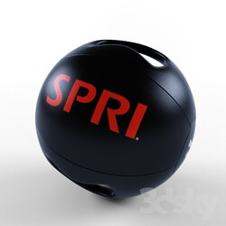 Sports - SPRI Dual Grip Xerball 
