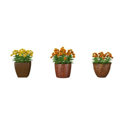 3dMentor HQFlowers3 tagetes (01) 