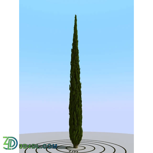 3dMentor HQPlants-02 (119) cypress 2