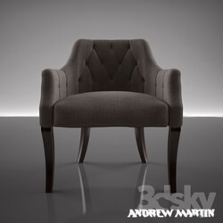 Arm chair - Andre Martin Candellere chair 