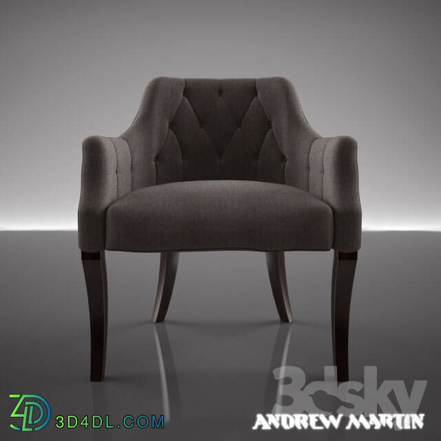 Arm chair - Andre Martin Candellere chair