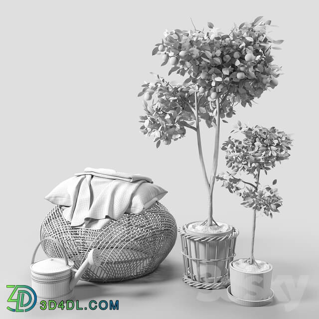 Other decorative objects - Orange Trees set_03