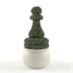 Plant - Topiary Pawn 