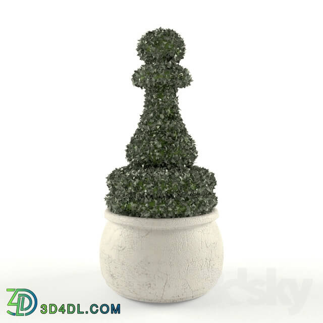 Plant - Topiary Pawn