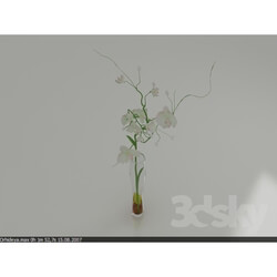 Vase - Vase with flower 