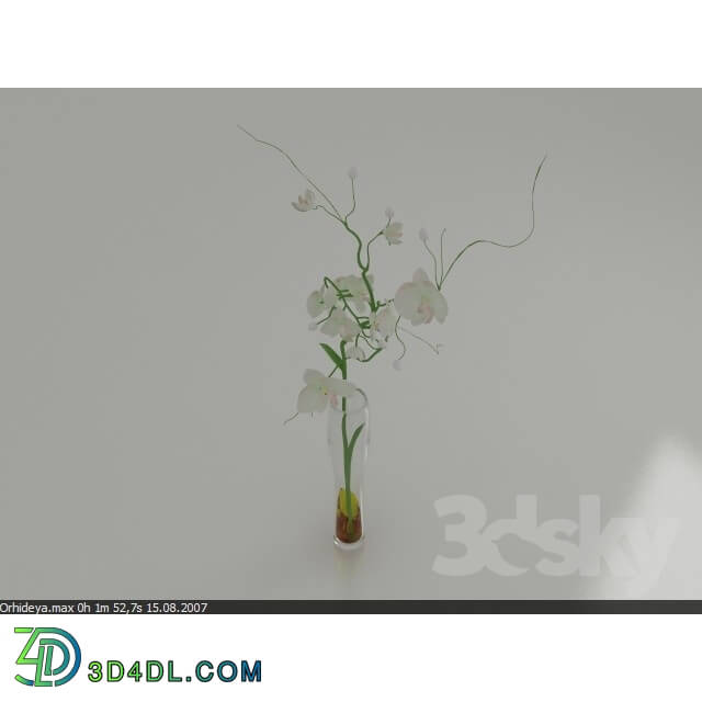 Vase - Vase with flower