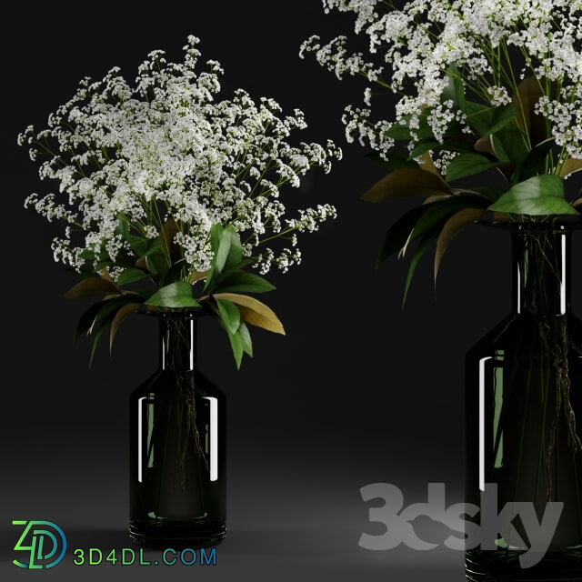 Plant - Gypsophila and magnolia leaves in bottle