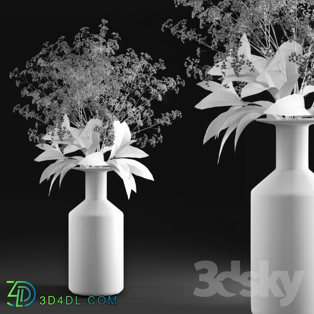Plant - Gypsophila and magnolia leaves in bottle