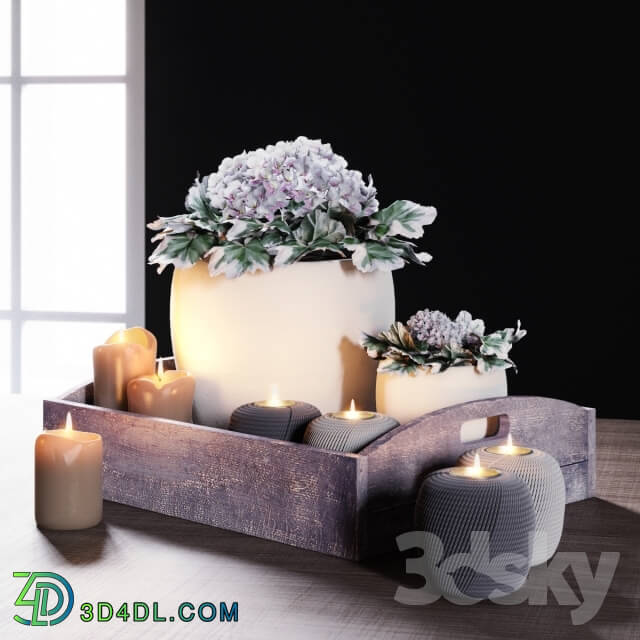 Decorative set - Tray