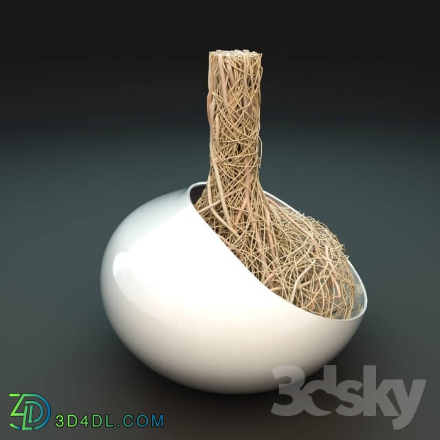 Vase - Vase Monfredo - Root decorative plant