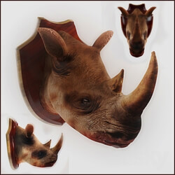 Other decorative objects - Rhino 