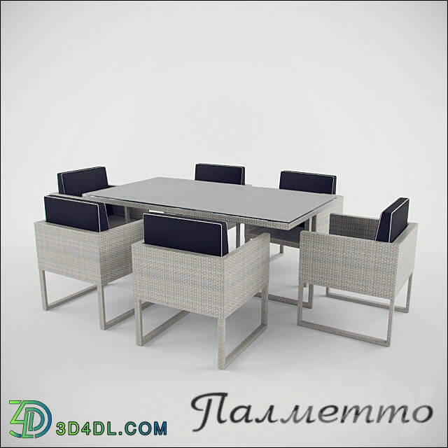 Table _ Chair - Palmetto