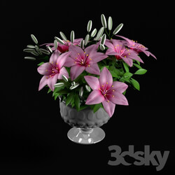 Bouquet - pink lilium flower 