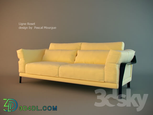 Sofa - Ligne Roset _ Cityloft