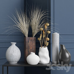 Decorative set - Vases and dried flowers 