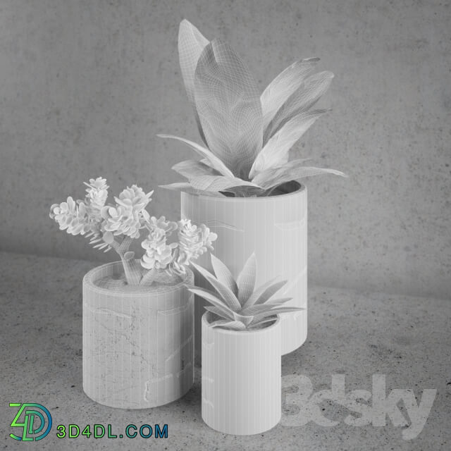 Plant - Decorative set _ plants