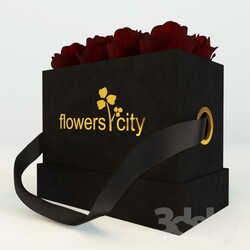 Plant - Flowers City 
