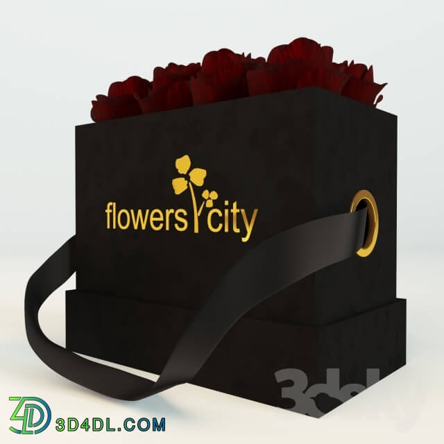 Plant - Flowers City