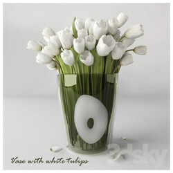 Plant - Vase with white tulips 