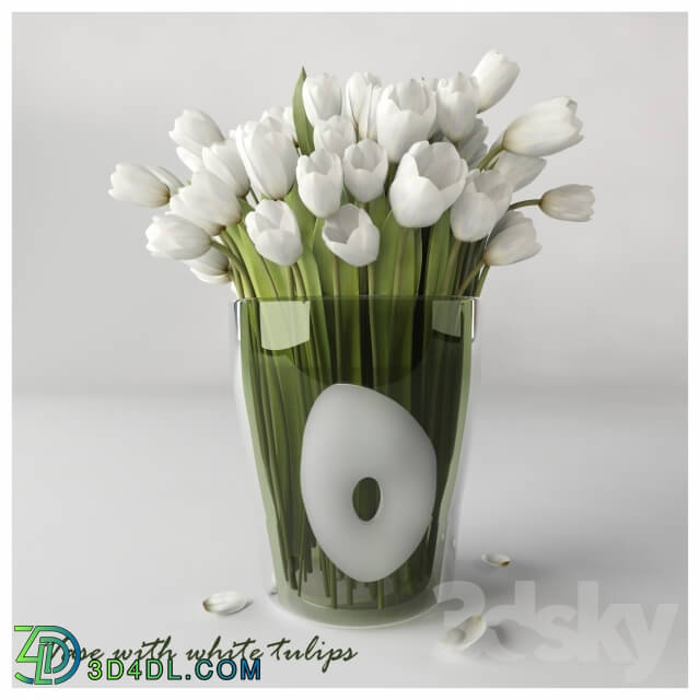 Plant - Vase with white tulips