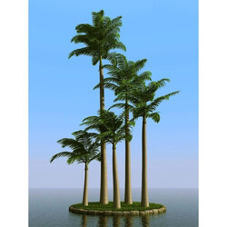 3dMentor HQPalms-03 (02) alexander palm wind 