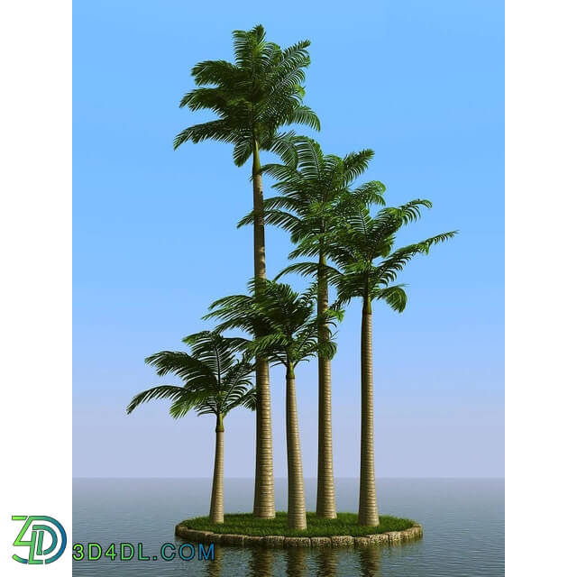 3dMentor HQPalms-03 (02) alexander palm wind