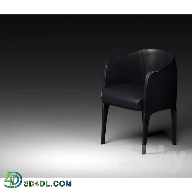 Arm chair - Design Chair