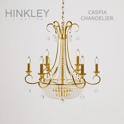 Ceiling light - Hinkley Caspia Chandelier 
