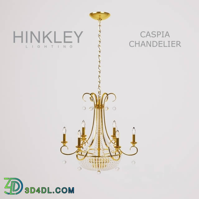 Ceiling light - Hinkley Caspia Chandelier