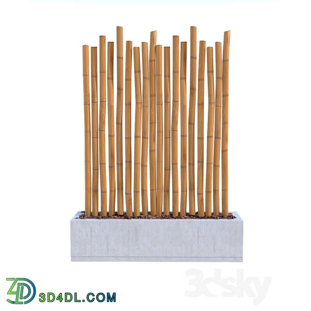 Other decorative objects - Bamboo Sticks