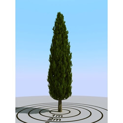 3dMentor HQPlants-02 (126) cypress 1 
