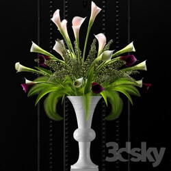 Plant - Flower Vase Set 2 