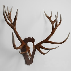 Other decorative objects - antler 