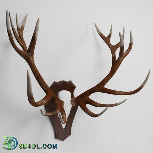 Other decorative objects - antler