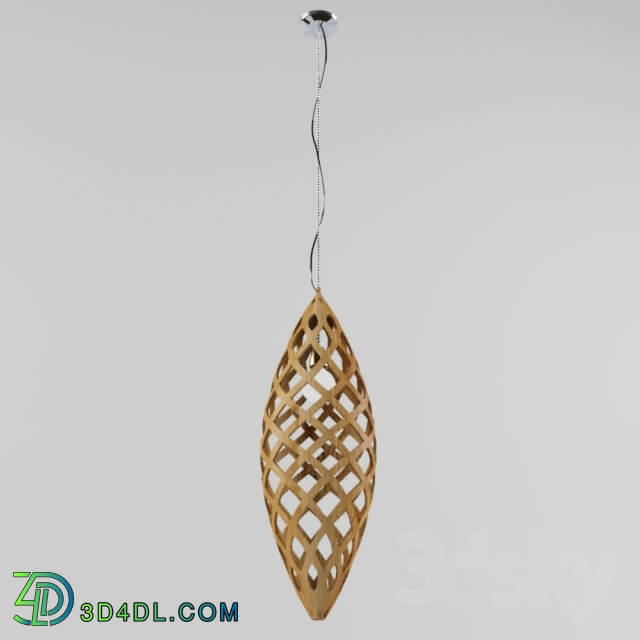 Ceiling light - Pendant light