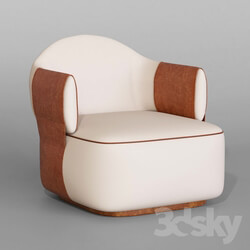Arm chair - LuxuryChair 