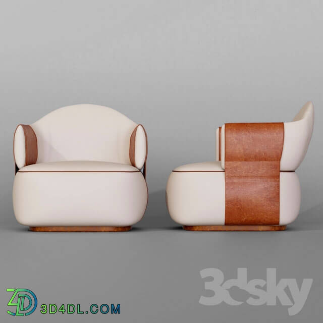 Arm chair - LuxuryChair