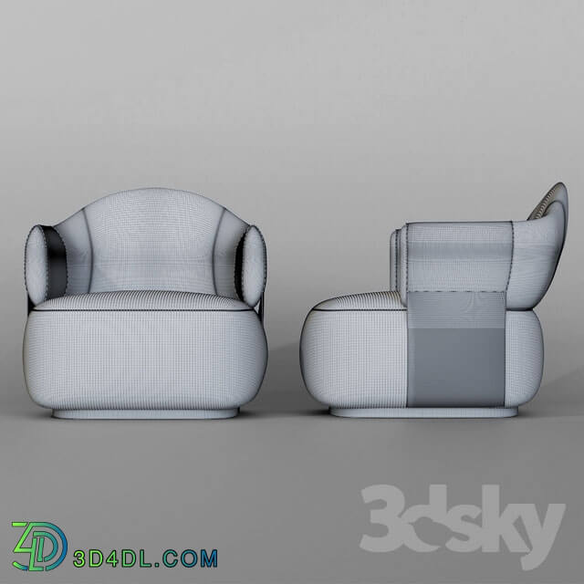 Arm chair - LuxuryChair