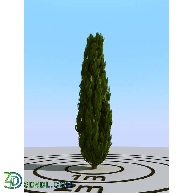 3dMentor HQPlants-02 (046) cypress 1